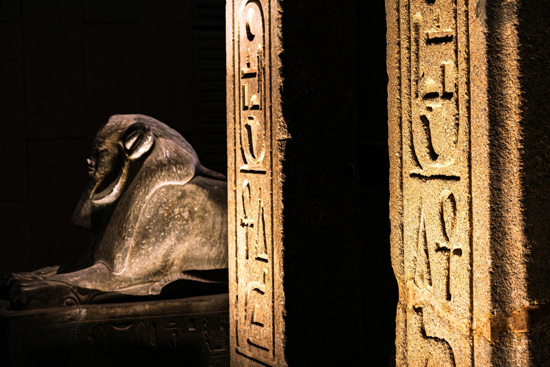 Close-up of an ancient Egyptian sphinx statue with hieroglyphics, illuminated in a museum setting.