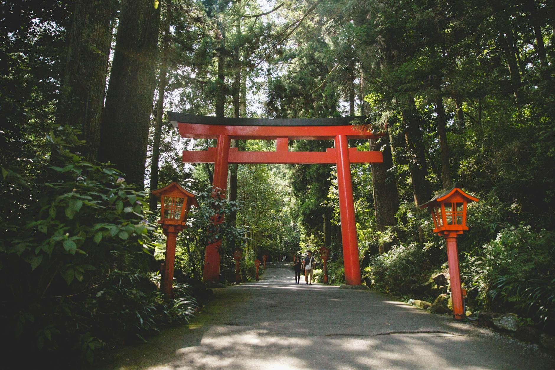Explore the majestic red torii gate in Hakone's tranquil forest setting.